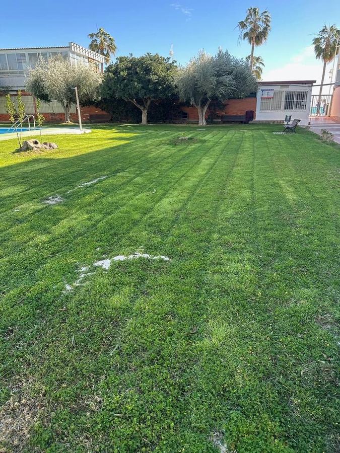 Jardín mantenido por Finestrat Natura
